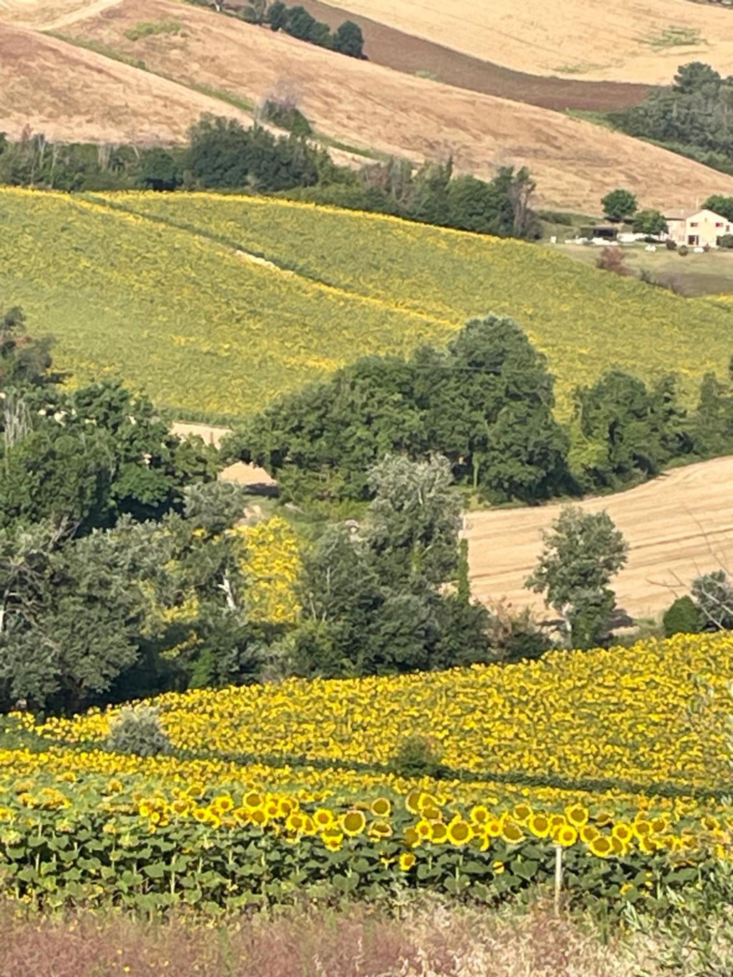 La Casetta Di Marzapane Casa-Natura Senigallia Exterior foto